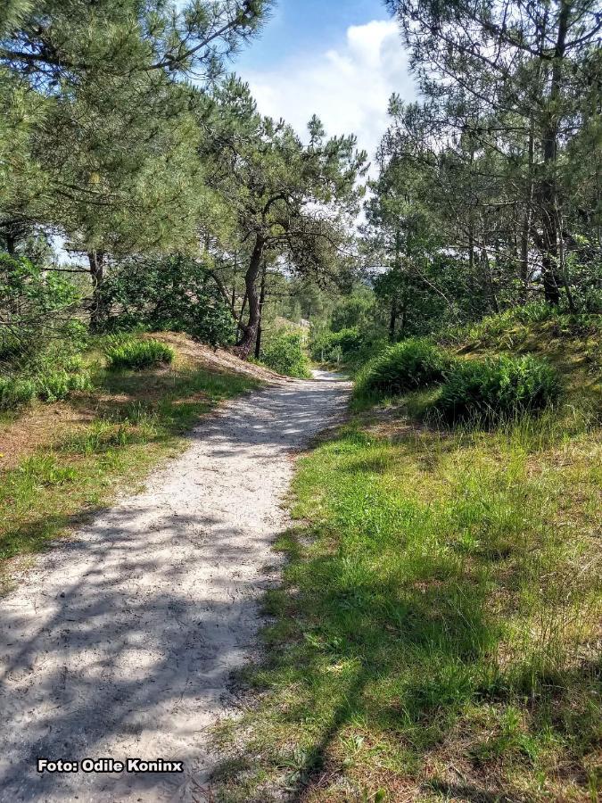 Warmenhuizen Klein Heemshof - Noord Holland Aan Uw Voeten מראה חיצוני תמונה