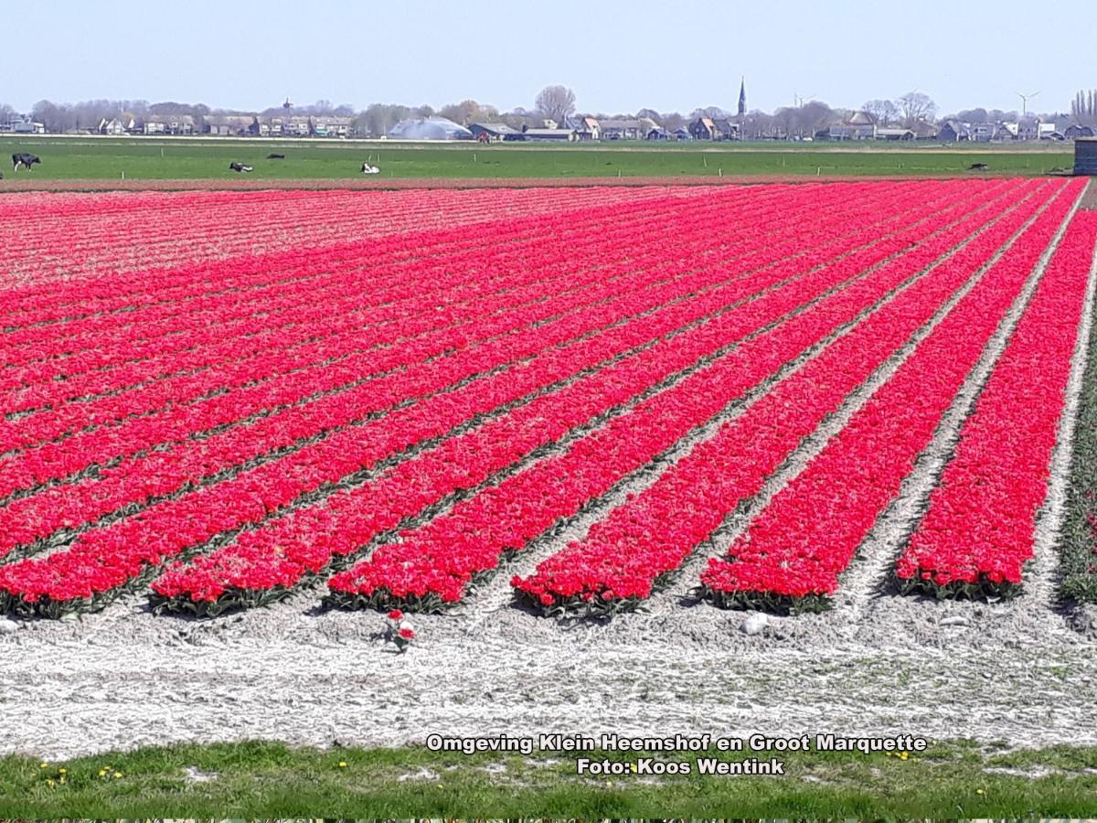 הוילה Warmenhuizen Klein Heemshof - Noord Holland Aan Uw Voeten מראה חיצוני תמונה