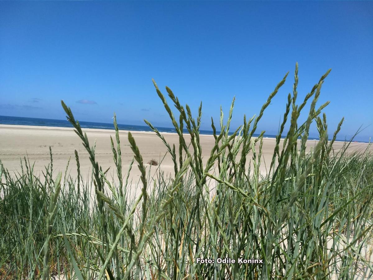 Warmenhuizen Klein Heemshof - Noord Holland Aan Uw Voeten מראה חיצוני תמונה
